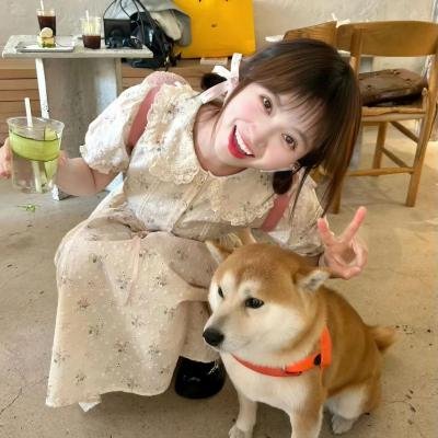 我的傻瓜老婆